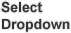 select